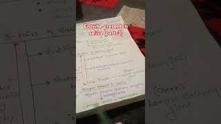 Mouth saliva part3  shorts video biology  important for all competitive exams [upl. by Charmine]