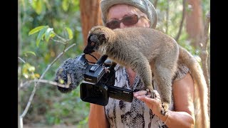 MADAGASCAR NEW Parc National Mantadia Vakona Lodge Remplace celle bloquée par Youtube [upl. by Gee]