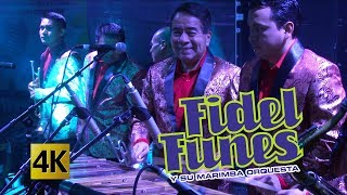 Fidel Funes y su Marimba Orquesta  Ilusiones 4K [upl. by Suravat931]