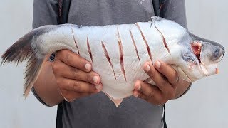 Pangasius Fish Fry Recipe  Amazing Way to Cutting Pangasius Fish  How To Cook Pangasius Fish [upl. by Theresina]