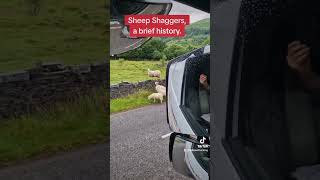 The shocking truth about the Welsh Sheep shaggers a brief history and some beautiful scenery [upl. by Zarah]