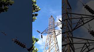 ⚡️high voltage 110 kv line tower shorts [upl. by Enitsyrhc599]