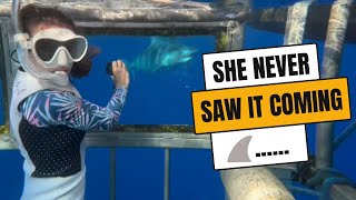 EXTREME Wedding Proposal Shark Cage Proposal to my Wife [upl. by Accire]