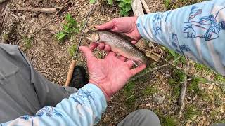 Euro Nymphing in Western NC  A Fly Fishing Tactic flyfishing [upl. by Eerolam]