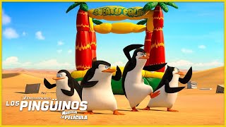 Los pingüinos nunca se asustan 💪🏼  DreamWorks Madagascar en Español Latino [upl. by Gans308]