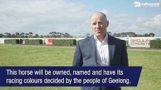 miRunners CEO Steve Brown talks Geelong Community Thoroughbred Partnership [upl. by Hoye341]