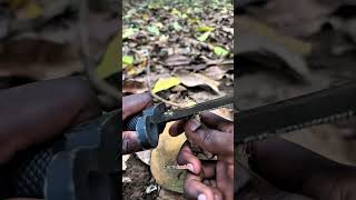 Survival bushcraft skills 🫡 shortsvideo bushcraft lifehack [upl. by Llenrod]