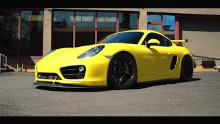 425L Porsche 981 Cayman Race Car [upl. by Atenik857]