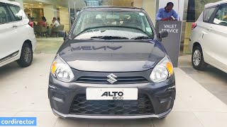 Maruti Suzuki Alto 800 2019 Accessories  New Alto 2019  Alto CNG LXi Launched  Reallife Review [upl. by Atsirt]