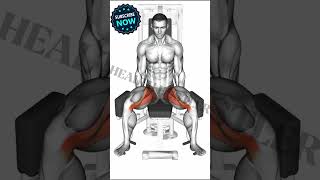 LEG DAY MOTIVATION Like Youve Never Seen Before [upl. by Conney]