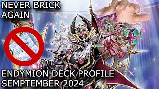 THE BEST ENDYMION DECK YOULL EVER SEE  ENDYMION DECK PROFILE SEMPTEMBER 2024 [upl. by Ray]