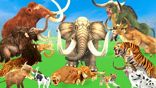 10 Big Bulls Help Giant Tiger Vs Monster Lion Attack Cow Cartoon Buffalo Saved by Woolly Mammoth [upl. by Ariella]