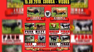 Korida kod Zireta 15092019 Godusa Visoko [upl. by Norek755]