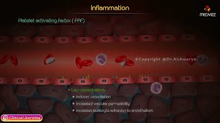 Cyclooxygenase COX  Inflammation  Pathology [upl. by Atikahc]