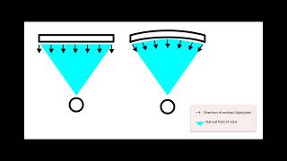 Curved vs Flat Monitors Which Is Best For You [upl. by Stavros]