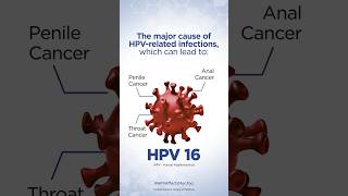 HPV Facts Every Man Should Know seruminstituteofindia [upl. by Maximilianus]