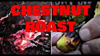 Chestnuts Roasting Over an Open Fire [upl. by Aikem]