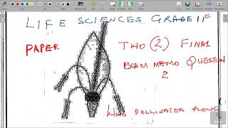 GRADE 11 LIFE SCIENCES PAPER 2 END OF YEAR MEMO QUESTION 2 [upl. by Ahsiekin]