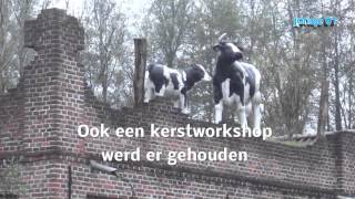 Kaasboerderij Weenink te Lievelde [upl. by Segroeg]