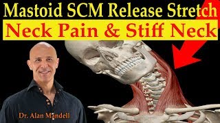 Mastoid SCM Release Stretch for Neck Pain amp Stiff Neck  Dr Alan Mandell DC [upl. by Ahsan922]