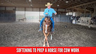 DC Cow Working Prep and Softening Exercises for Your Horse [upl. by Nidla]