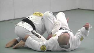 Omoplata  BJJ Blue Belt Requirements Technique 13 [upl. by Lasorella]