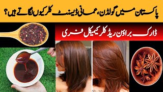 DARK BROWN HAIR DYE AT HOME HAIR DYE IN 10 MIN 100ORGANIC HAIR DYE AMAZING RESULT [upl. by Ariaz]