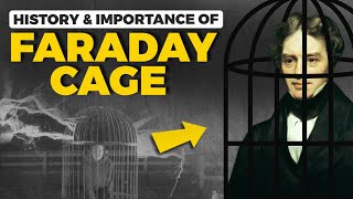 Faraday Cage History and Importance [upl. by Amick]