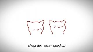 cheia de marra  speed up [upl. by Sihon]