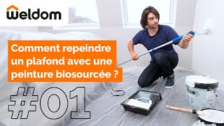 Weldom  Comment repeindre un plafond avec une peinture écoresponsable [upl. by Mika183]