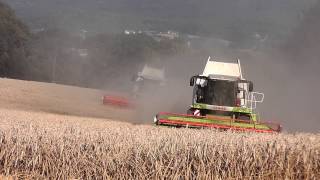 Stress bei der Weizen Ernte 2013 Mit LU Borcherding Claas Lexion 750 [upl. by Deste952]