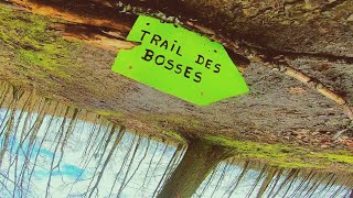 Trail des Bosses • 41 km  888 m D [upl. by Wailoo411]