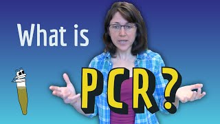 What is PCR [upl. by Jak]