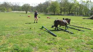 Spring Cavaletti Training hier an Doppellonge [upl. by Hamforrd]