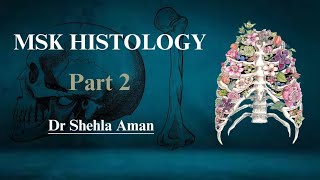 Histology of Cartilage  different types of Cartilages  Dr Shehla Aman [upl. by Trinity528]