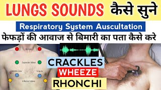 Lungs sound explained in Hindi  Normal amp Abnormal  wheeze Rhonchi Rub crackles use headphones [upl. by Ylesara]