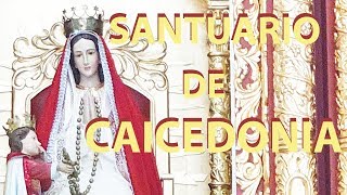 Santuario Caicedonia Virgen María madre de Dios  Selenne 🙏 [upl. by Decker111]