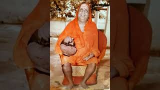 Sri Gnanananda Giri Swami voice 3  Speech by Swamy [upl. by Nyletac114]