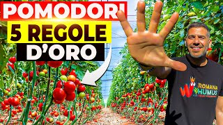 Rispetta queste 5 REGOLE Avrai FRUTTI GRANDI e PIU’ POMODORI 🌱🍅 [upl. by Inman100]