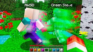 ASWDFZXCV vs GREEN STEVE IN MINECRAFT [upl. by Kared]