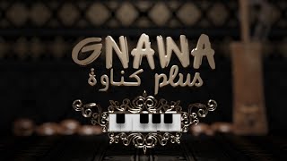 SOLO Guembri Gnawa HQ Music  نغمات كناوية صامتة [upl. by Lecirg]