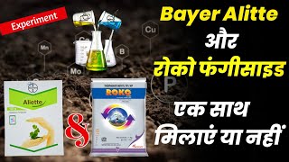 Roko fungicide  Bayer Aliette  mixing Experiments video agriculture [upl. by Aimej]