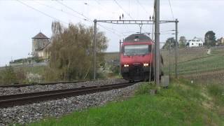 Trafic ferroviaire à Lutry [upl. by Gustafson]