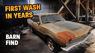 WASHING AN ABANDONED FORD MAVERICK INSANE TRANSFORMATION 🤩 [upl. by Luci]