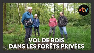 Vol de bois dans les forêts privées en Meuse [upl. by Riplex351]