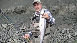 Atlantic Salmon Fishing Humber River Cormack Newfoundland PART 2 [upl. by Josefa]