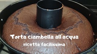 TORTA CIAMBELLA ALLACQUA senza uova senza latte e senza burro facilissima [upl. by Smail226]