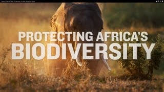 Toward a Greener Future Conservation Success Stories from Africa [upl. by Gilli927]