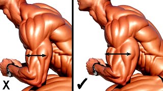 Best Workouts For Bicep and Tricep to Get Wide Insane Arms [upl. by Dnomra]