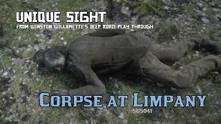 Corpse at Limpany  Unique Sight RDRII [upl. by Dash]